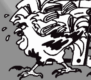 ���������� ����...