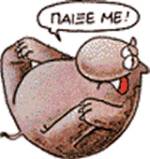 ����� �� (�����)