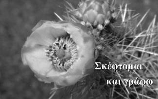 ��������� ��� �����